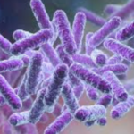 bacteria reduction