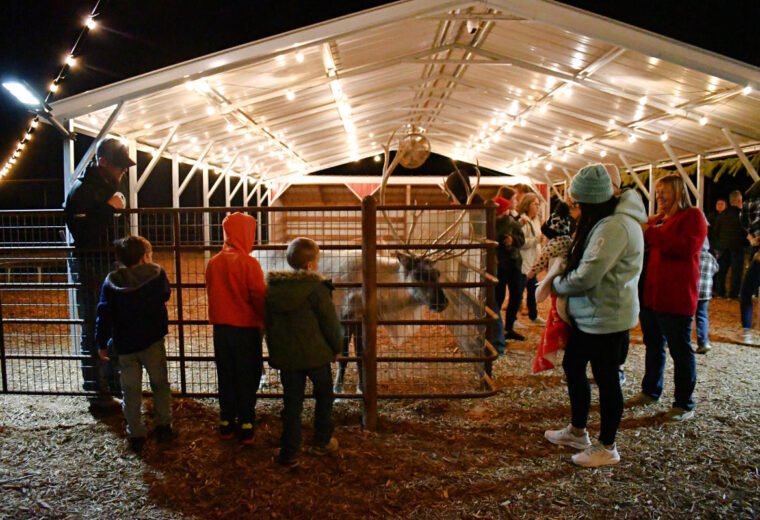 Reindeer Rental Missouri