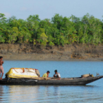 Sundarban trip