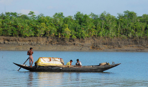 Sundarban trip